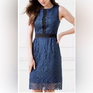 KARL LAGERFELD Paris Lace Sleeveless Sheath Dress Size 6 Blue Black NEW